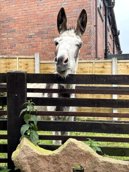 4 Bedroom - Sleep 9 Home In Cheadle Staffordshire - Alton Towers Polar Express Dimmingsdale Peak District Trentham Gardens Water World Zewnętrze zdjęcie