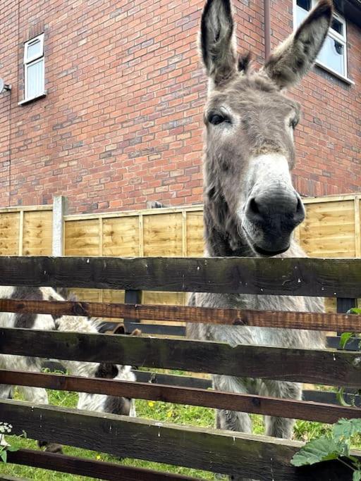 4 Bedroom - Sleep 9 Home In Cheadle Staffordshire - Alton Towers Polar Express Dimmingsdale Peak District Trentham Gardens Water World Zewnętrze zdjęcie